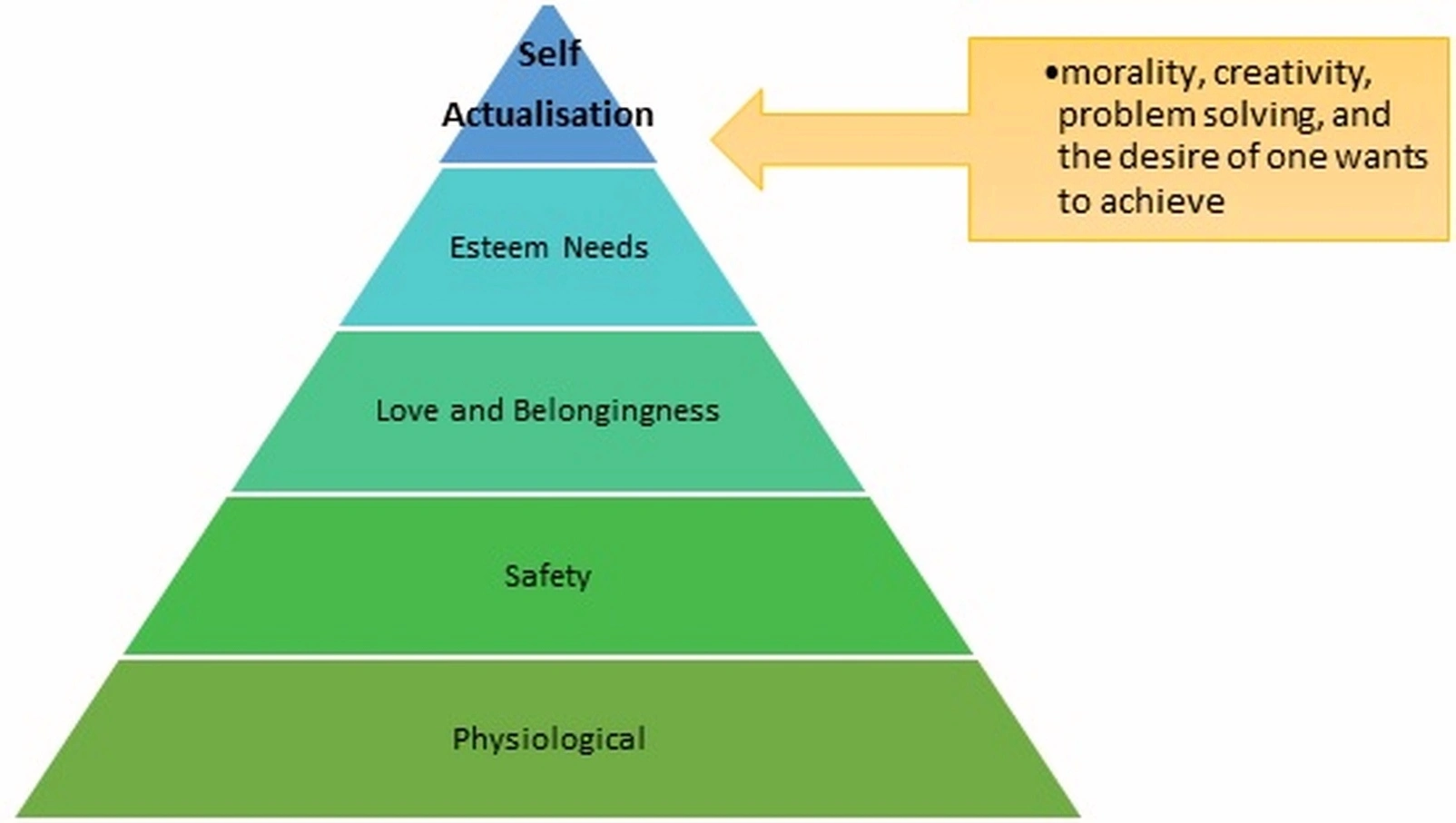 Business actualization workshop